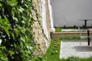 Zahrada ubytování Ultroneo, Locanda di collina