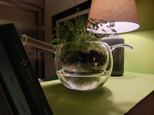 Fotografie z fotogalerie ubytování Ultroneo, Locanda di collina v destinaci Vinci