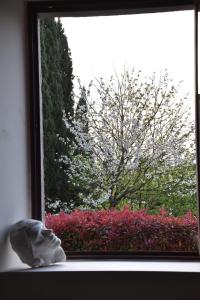 Zahrada ubytování Ultroneo, Locanda di collina