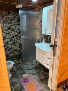 W łazience znajduje się prysznic, umywalka i toaleta. w obiekcie desert wadi rum camp w mieście Wadi Rum