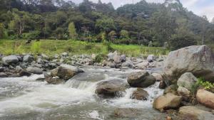 a stream of water with rocks in a river at susurros del río in Pijao
