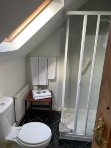 Ванна кімната в Padua Guest Accommodation Rosslare