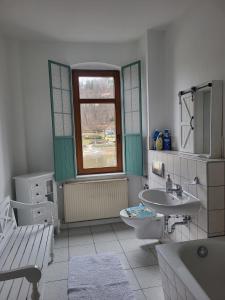 ein Bad mit einem Waschbecken, einem WC und einem Fenster in der Unterkunft Ferienwohnung mit Blick auf die Elbe und den Lilienstein in Königstein an der Elbe