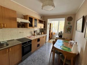 Köök või kööginurk majutusasutuses VIsagino Apartment