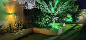a garden with a palm tree and green lights at Option Full Service Residence in Rio de Janeiro