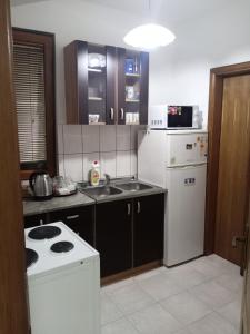 Una cocina o kitchenette en Apartman Mladenovic Center, free parking&wifi