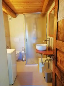 uma casa de banho com um chuveiro, um lavatório e um WC. em Casa Vacanze Nebin em Stroppo