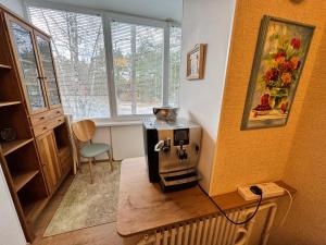 una pequeña cocina con fogones en una habitación en VIsagino Apartment, en Visaginas