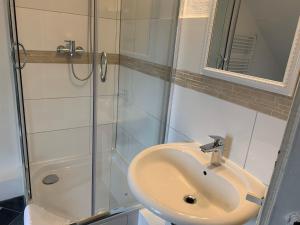 a bathroom with a sink and a shower at Drei Linden Jasper in Wolfenbüttel