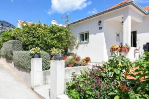 Zahrada ubytování Apartments Goga
