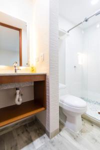 y baño con aseo, lavabo y ducha. en Hotel Casa Botero 202, en Bogotá