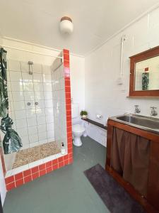 a bathroom with a shower and a sink and a toilet at Camelot in Yamba