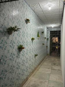 Casa do Meio Pousada في ريسيفي: غرفة بها جدار أزرق مع نباتات الفخار
