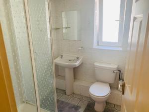 a bathroom with a toilet and a sink and a shower at Sea view Flat Cobh in Cobh