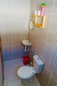 a small bathroom with a toilet and a sink at Incrivel chale c WiFi e boa localizacao - Parnaiba in Parnaíba