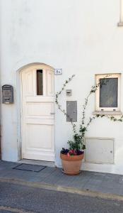 una puerta y una maceta delante de un edificio en WHITE - San Pantaleo, en San Pantaleo