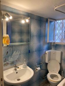 アテネにあるArtemidos Apartmentの青いタイル張りのバスルーム(トイレ、シンク付)
