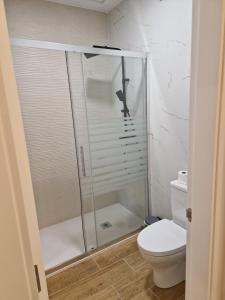 ein Bad mit einer Dusche und einem WC in der Unterkunft Apartaments Mariña B5 in Redondela