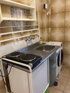 アテネにあるArtemidos Apartmentの小さなキッチン(シンク、洗濯機付)