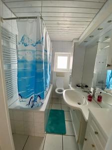 e bagno con doccia, servizi igienici e lavandino. di Zentrale 4-Zimmer-Wohnung in Sirnach a Sirnach
