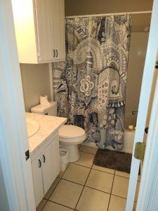 a bathroom with a toilet and a shower curtain at The Oasis - C in Clovis