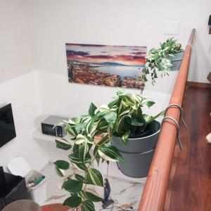 einer Topfpflanze auf einer Treppe in der Unterkunft San Ciro's Suite in Portici