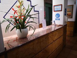 a vase filled with flowers sitting on a counter at Apartamentos Leonor Carihuela in Torremolinos