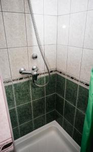 baño con ducha con manguera y azulejos verdes en apARTmanházak Miro ház, en Siófok