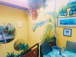 伊基托斯的住宿－斯泰勒斯酒店，墙上涂有棕榈树的房间