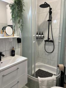een badkamer met een douche en een wastafel bij Dioklecian Dream Apartment in Split