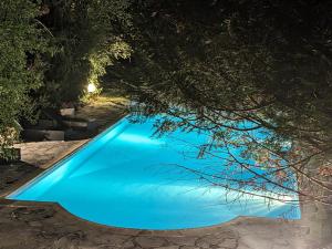 - une piscine bleue la nuit avec un arbre au-dessus dans l'établissement Cottage Urval, à Urval