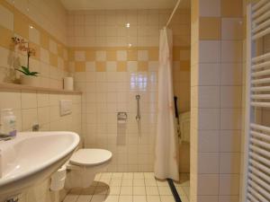 ein Bad mit einer Dusche, einem WC und einem Waschbecken in der Unterkunft Vrijzicht in Zuidwolde