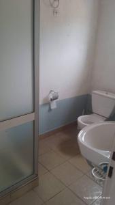 La salle de bains est pourvue de toilettes et d'un lavabo. dans l'établissement Residence Mindja, à Kribi