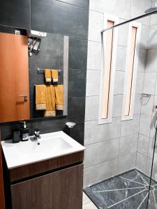 uma casa de banho com um lavatório e um chuveiro em P&SApartments em Santa Maria