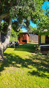 un patio con una mesa de picnic y un árbol en Entre montañas en San Carlos de Bariloche