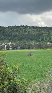 een auto in een groot veld van groen gras bij שלווה בגלבוע in Gid‘ona
