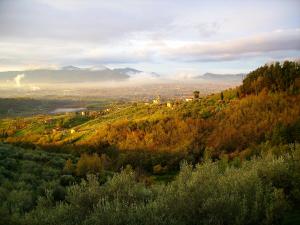 a view of a city from a hill with trees at Fattoria Gambaro di Petrognano in Collodi