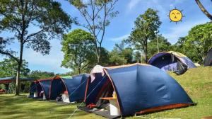a row of tents in a field with trees at Tapian Asri Camp in Bukittinggi