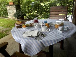 una mesa de picnic con un mantel azul y blanco a cuadros en Il Glicine, en Zimone