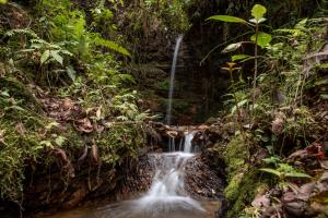 Gallery image of Owl's Watch at Rio Blanco in Manizales +31 photos