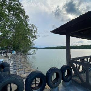 eine Reifengruppe, die neben einem Wasserkörper sitzt in der Unterkunft Beautiful River Homestay Kuala Pontian Rompin in Kuala Rompin