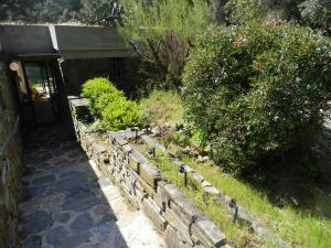 a garden with plants in a stone wall at Maison Bormes-les-Mimosas, 4 pièces, 6 personnes - FR-1-251-721 in Bormes-les-Mimosas