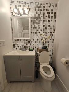 a bathroom with a toilet and a sink and a mirror at Home Near Downtown Norfolk in Norfolk +15 photos