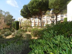 einen Garten mit Bäumen und Pflanzen vor einem Gebäude in der Unterkunft Appartement Bormes-les-Mimosas, 3 pièces, 6 personnes - FR-1-251-771 in Bormes-les-Mimosas