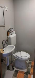 Koupelna v ubytování Apartman Heli Meli 2