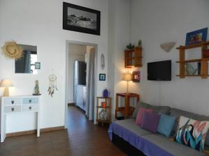 ein Wohnzimmer mit einem Sofa und einem TV in der Unterkunft Appartement Le Lavandou, 2 pièces, 4 personnes - FR-1-251-792 in Le Lavandou