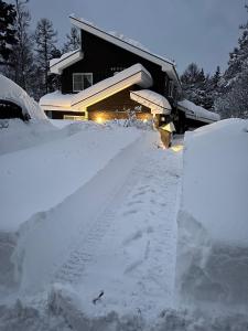 um quintal coberto de neve com uma casa em Shofusha Lodge Madarao Tangram em Madarao Kogen