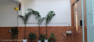 a bathroom with two palm trees in front of a wall at HOTEL AYODHYA PAYING GUEST in Ayodhya