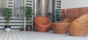 a group of wicker chairs and potted plants at HOTEL AYODHYA PAYING GUEST in Ayodhya