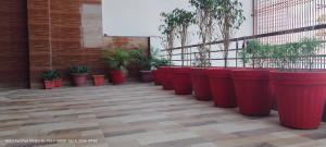 a row of red potted plants in a building at HOTEL AYODHYA PAYING GUEST in Ayodhya